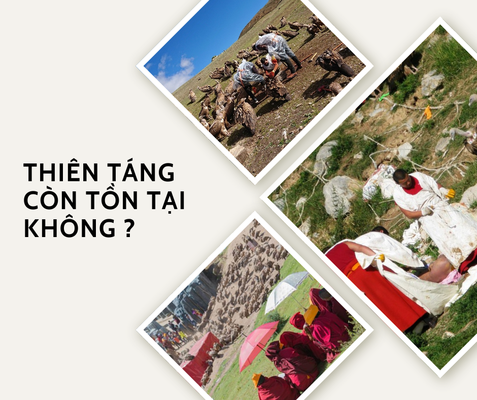 thiên táng còn tại nữa không